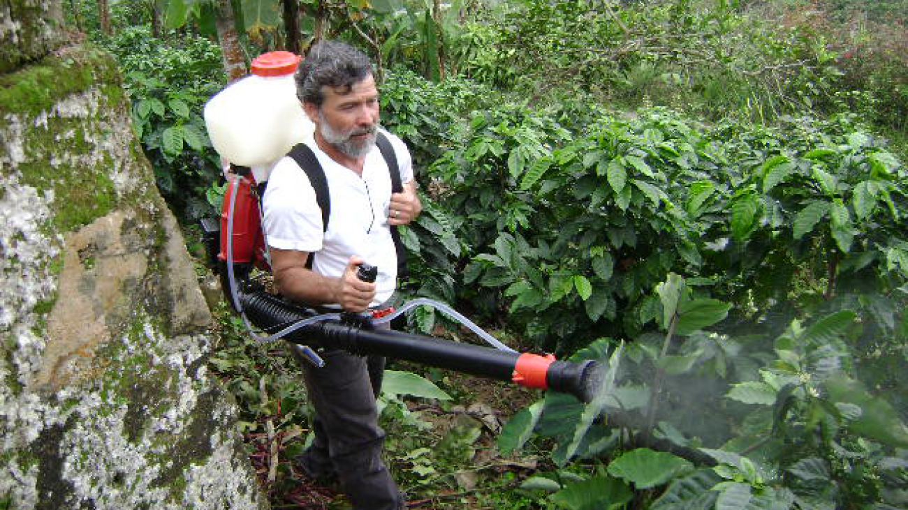 Manejo Agroecológico del café