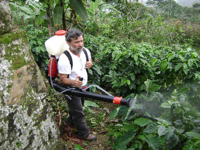 Manejo Agroecológico del café