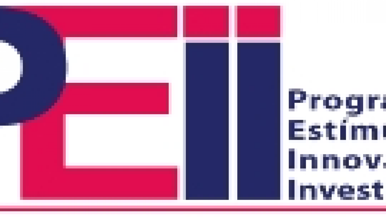 Logo PEII