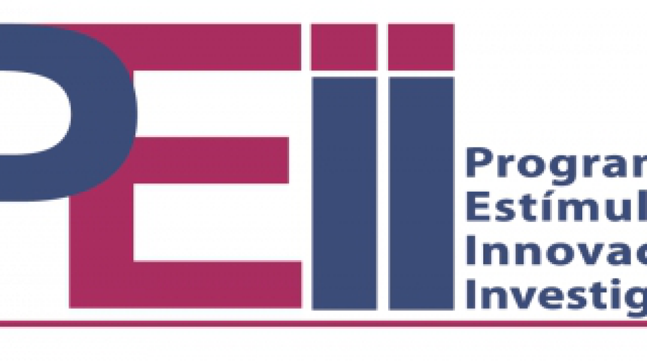 logo-peii