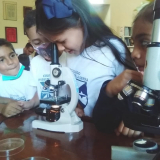 Observando por primera vez en el microscopio