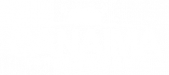 logo_canaima
